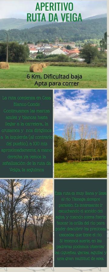 Apartamento El Camino Laza Exterior foto